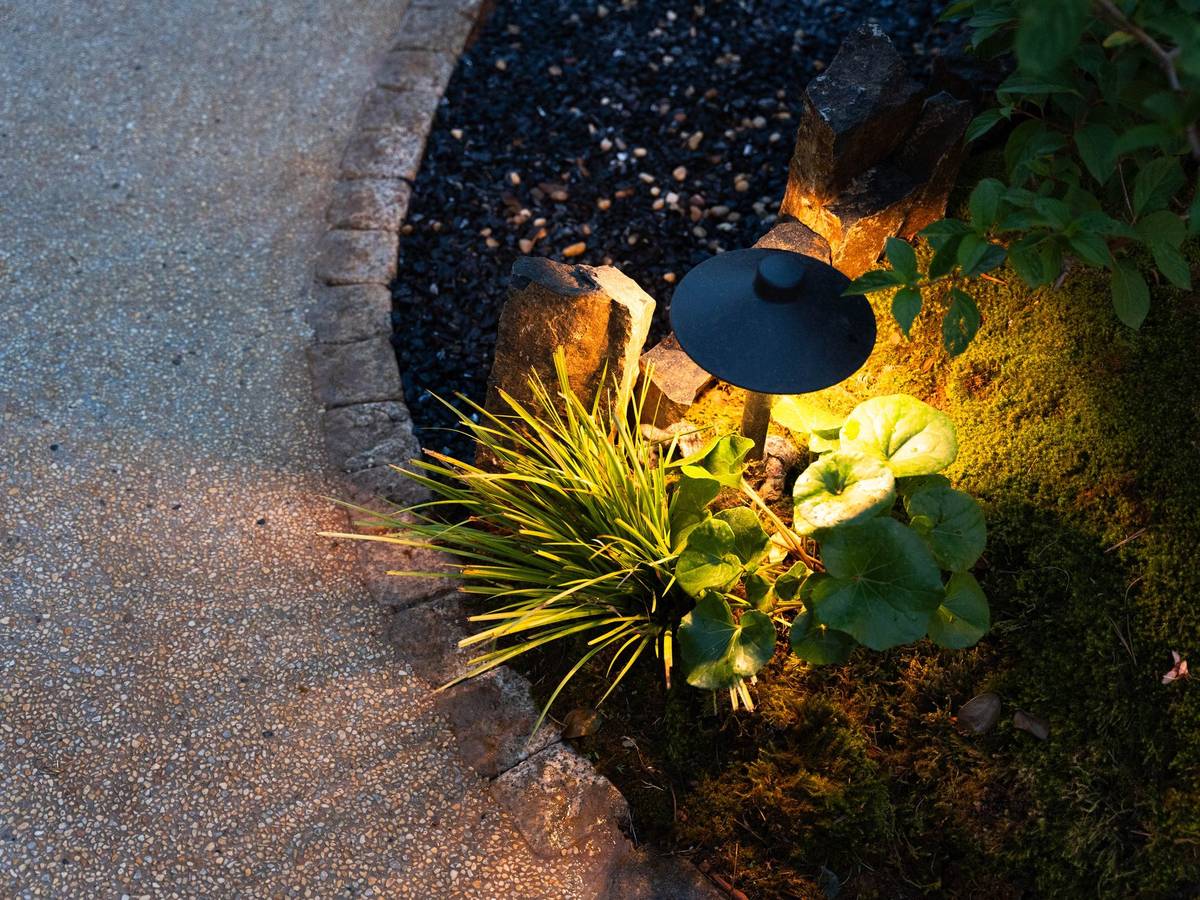 灯具、苔藓与边界细节