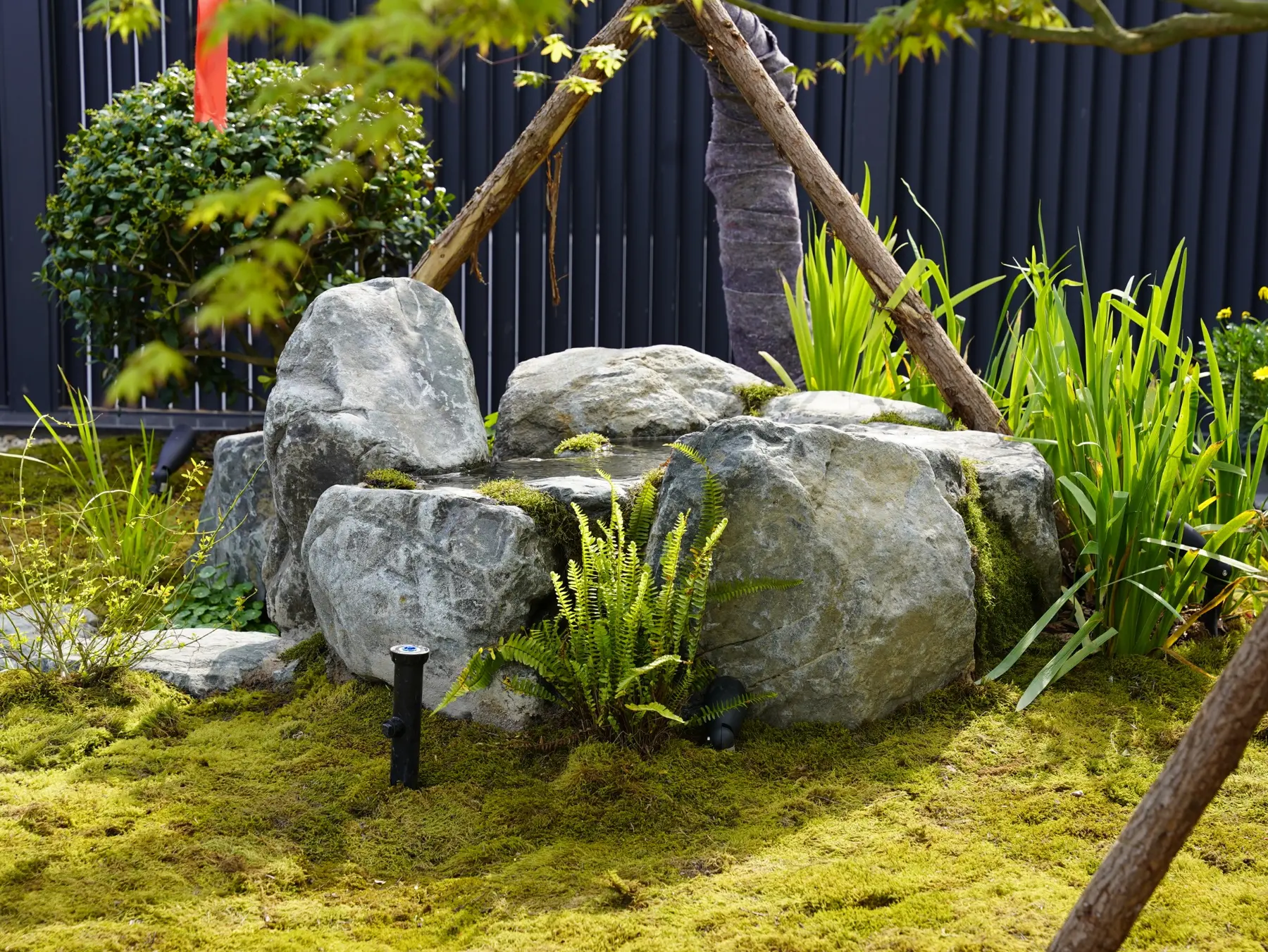 五楼苔藓与景石