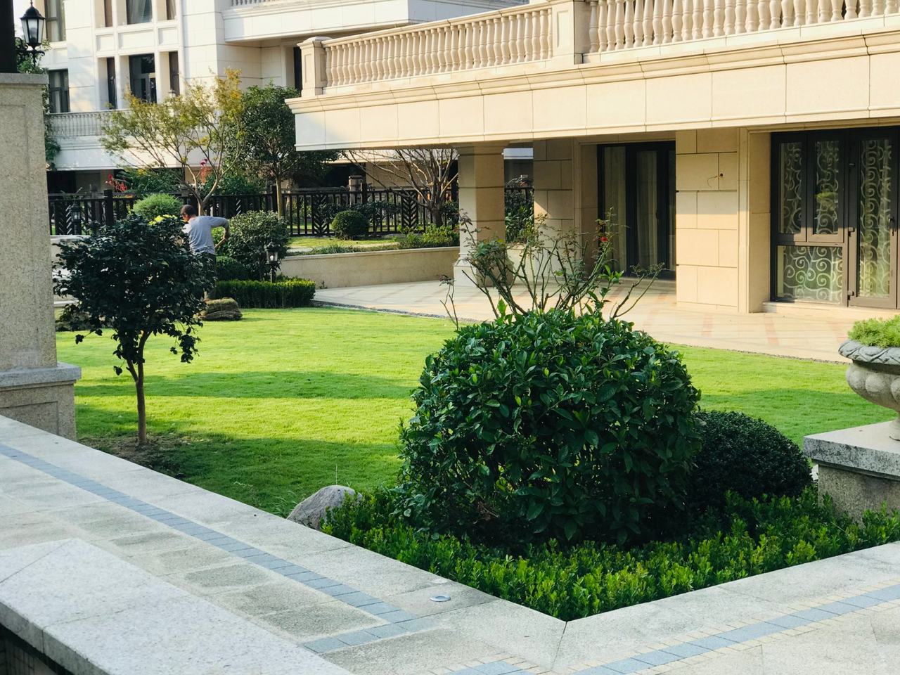 庭院大草坪与建筑