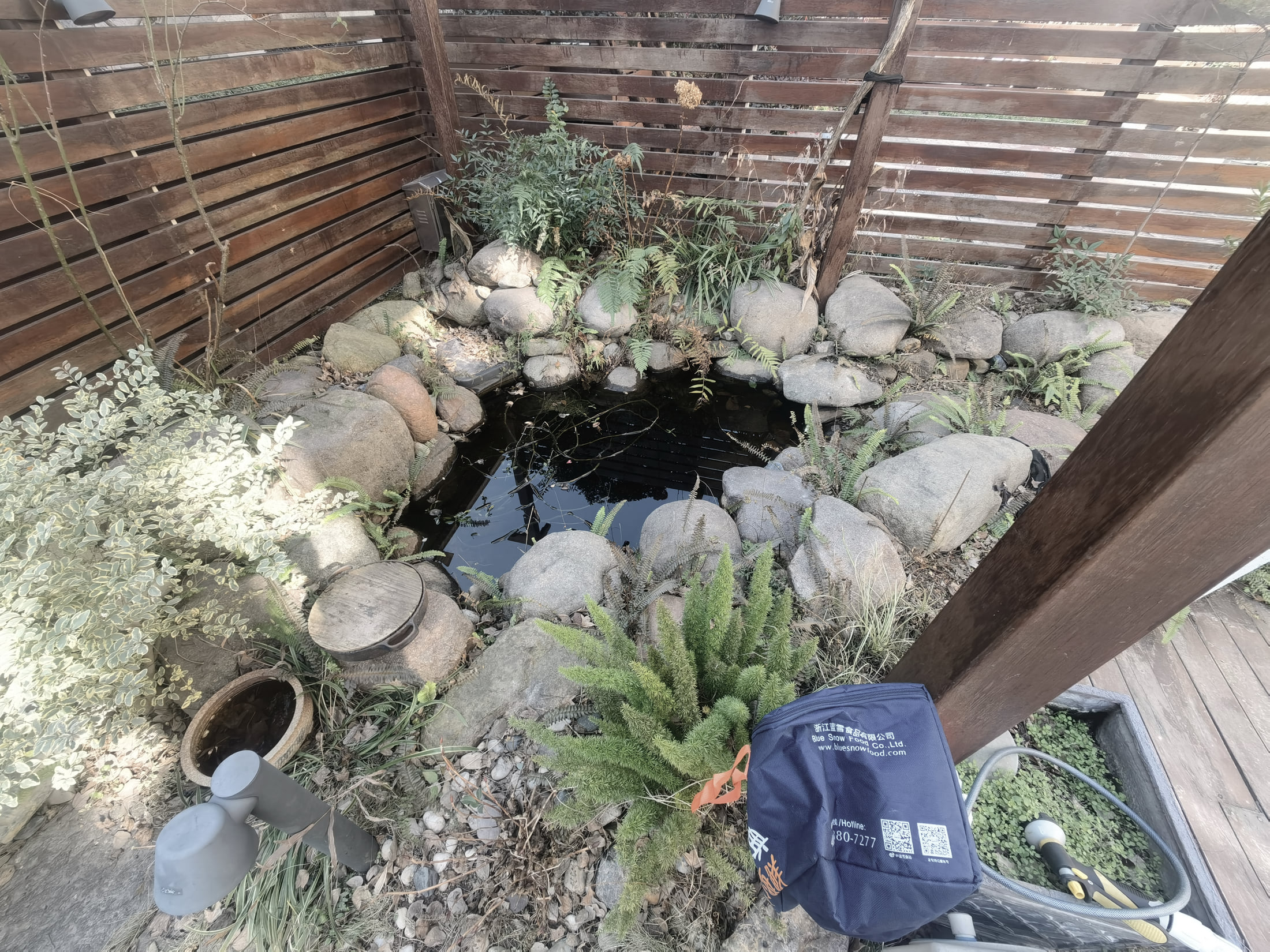 改造前庭院水池现状