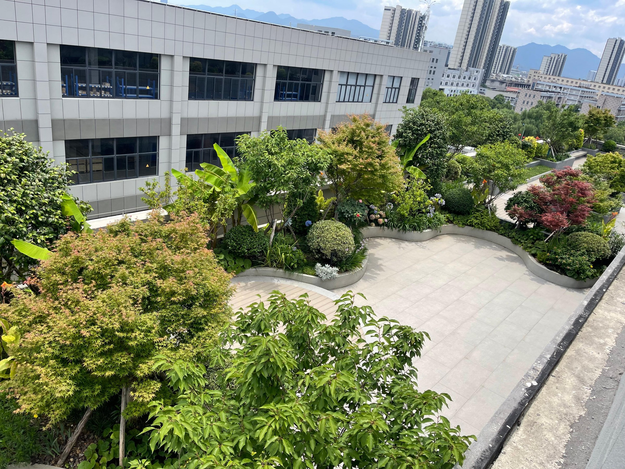 屋顶花园会客窗前区