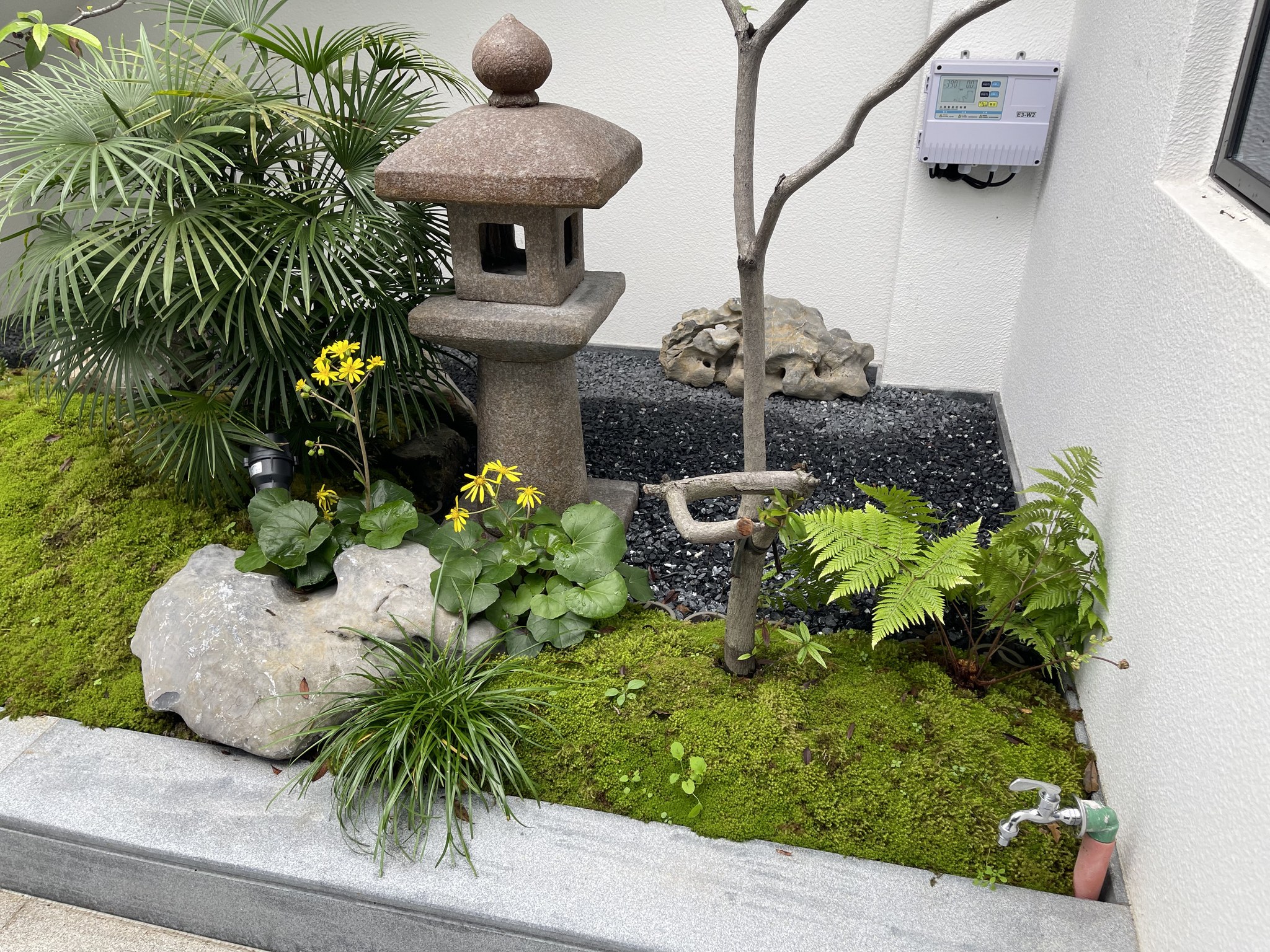 苔景与石灯庭园