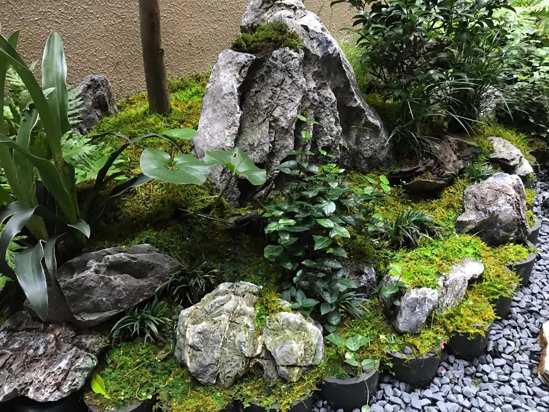 苔石幽境
