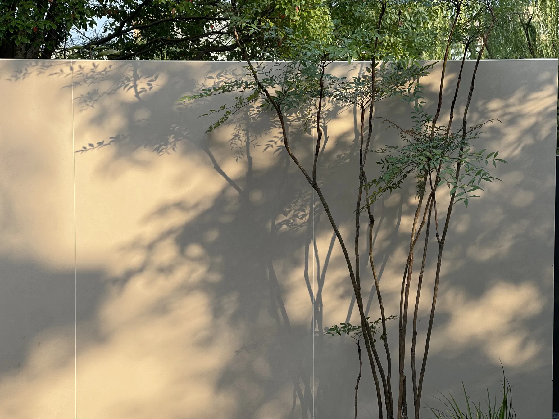 松影入院项目实景