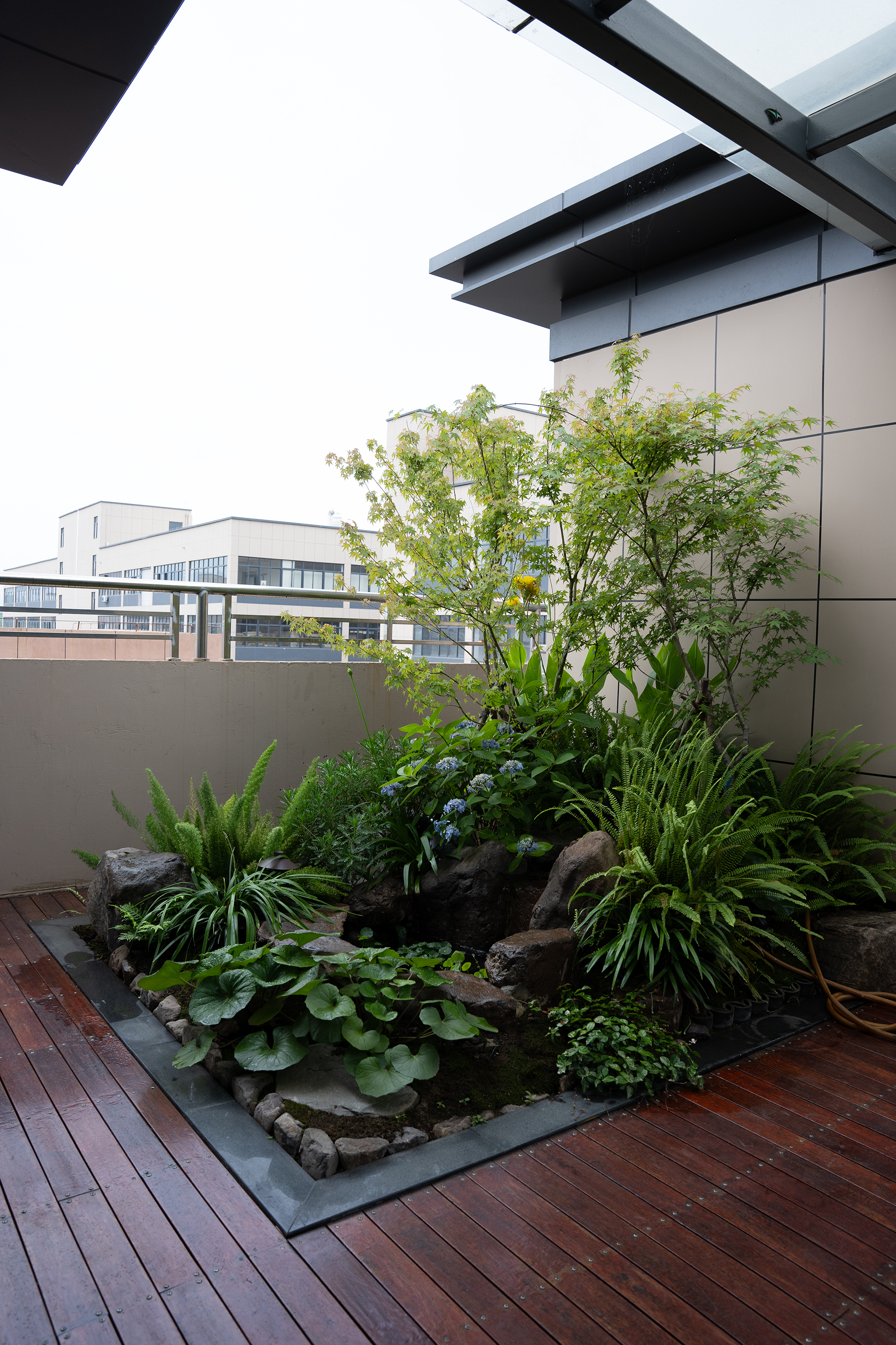 屋顶秘境·藏在厂房屋顶的自然秘境 CORPORATE ROOFTOP GARDEN