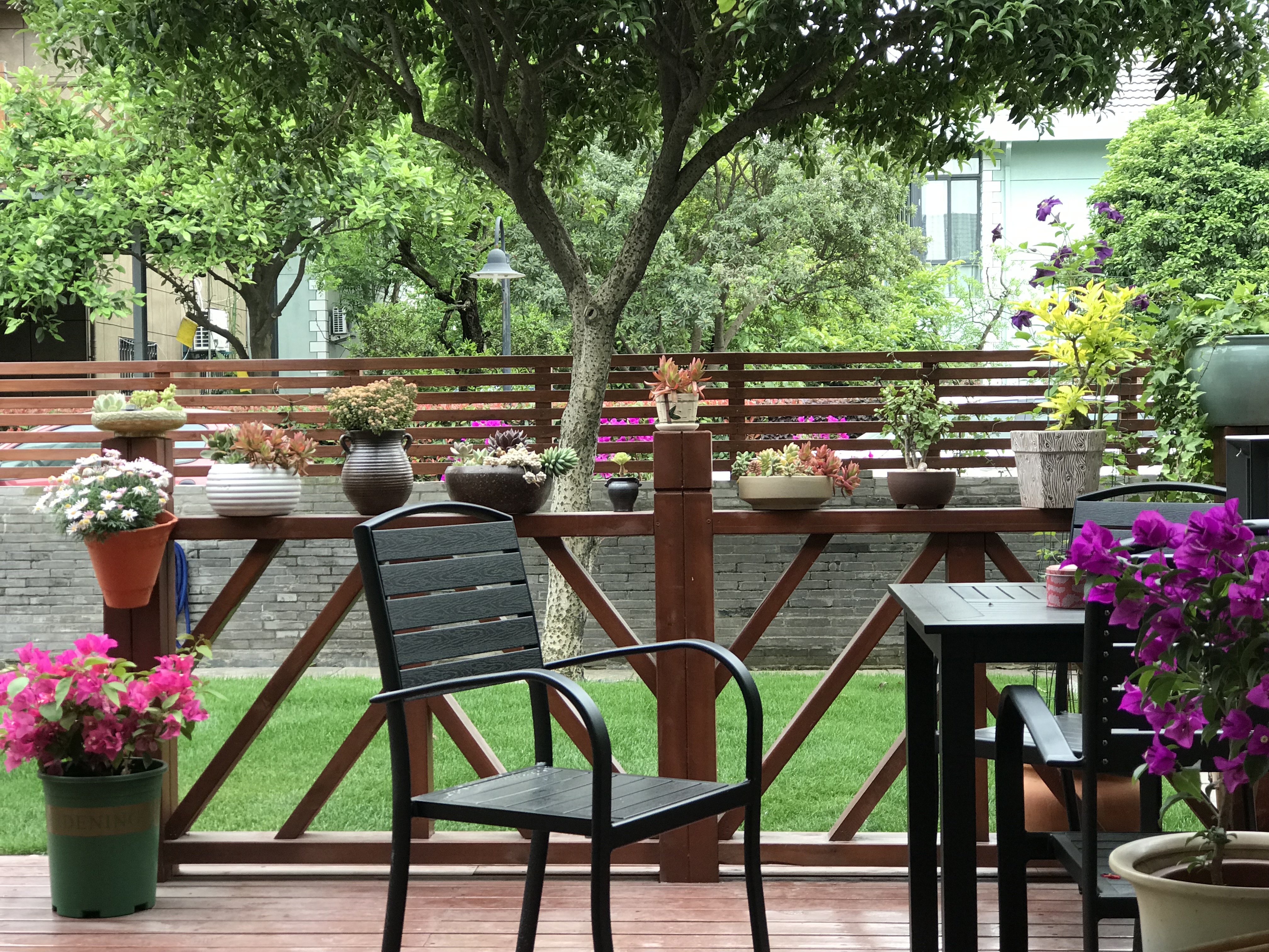 一院花事·露台之外,满园花草 GARDEN MOMENTS