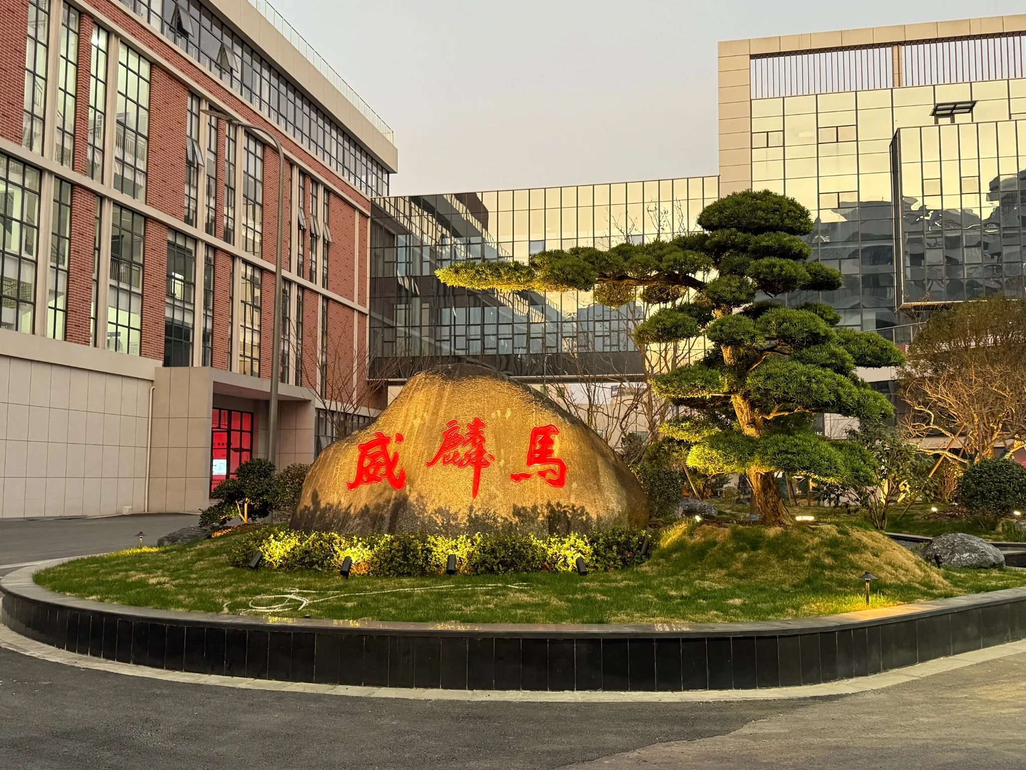 造型松与企业景石