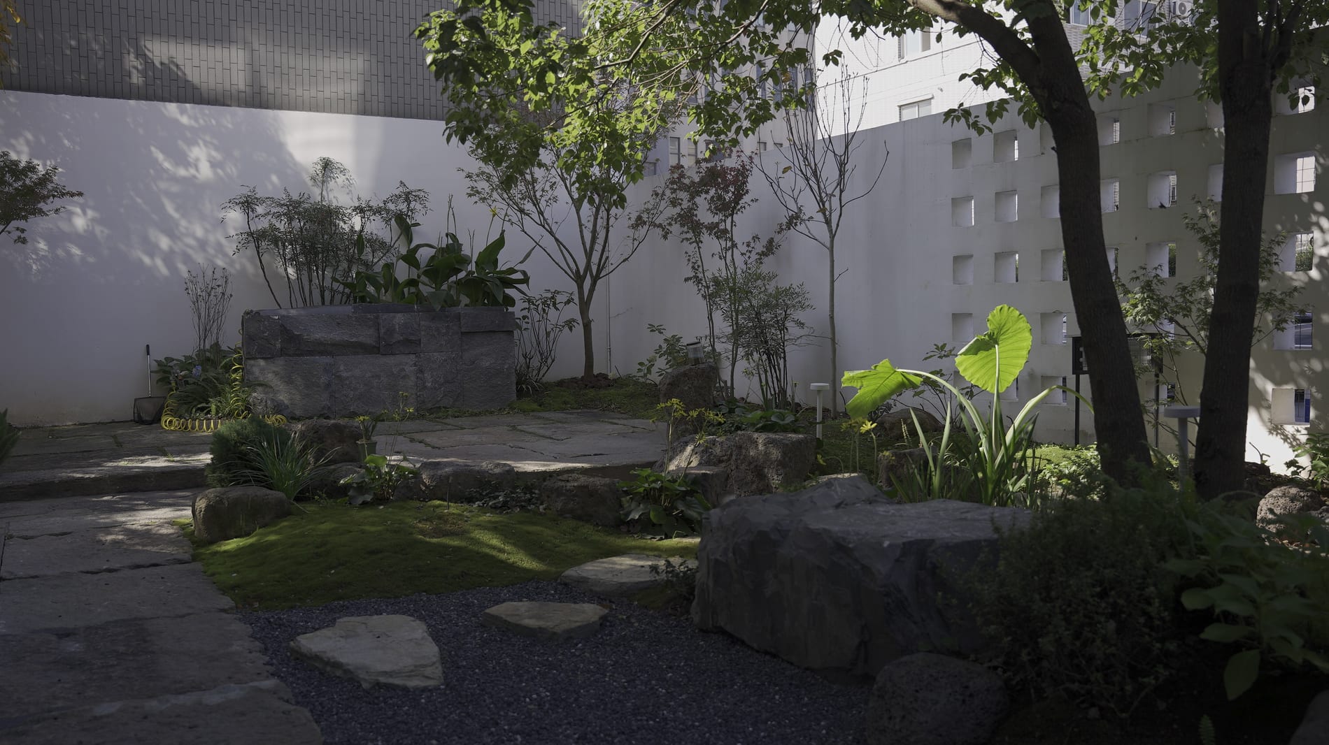 透景墙区域完成后的石板路径、景石与植物