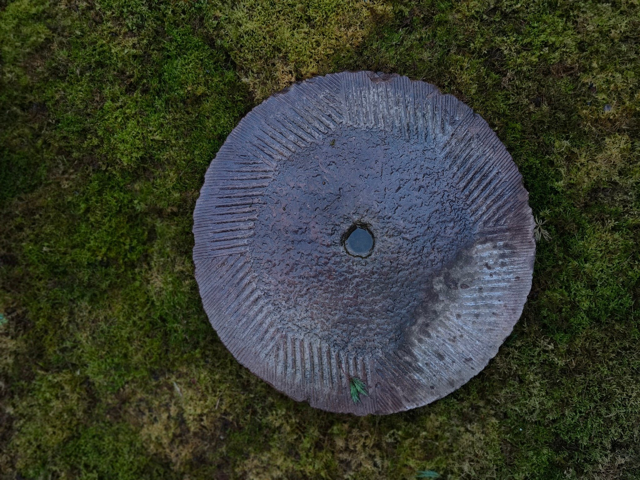 老磨盘与苔藓