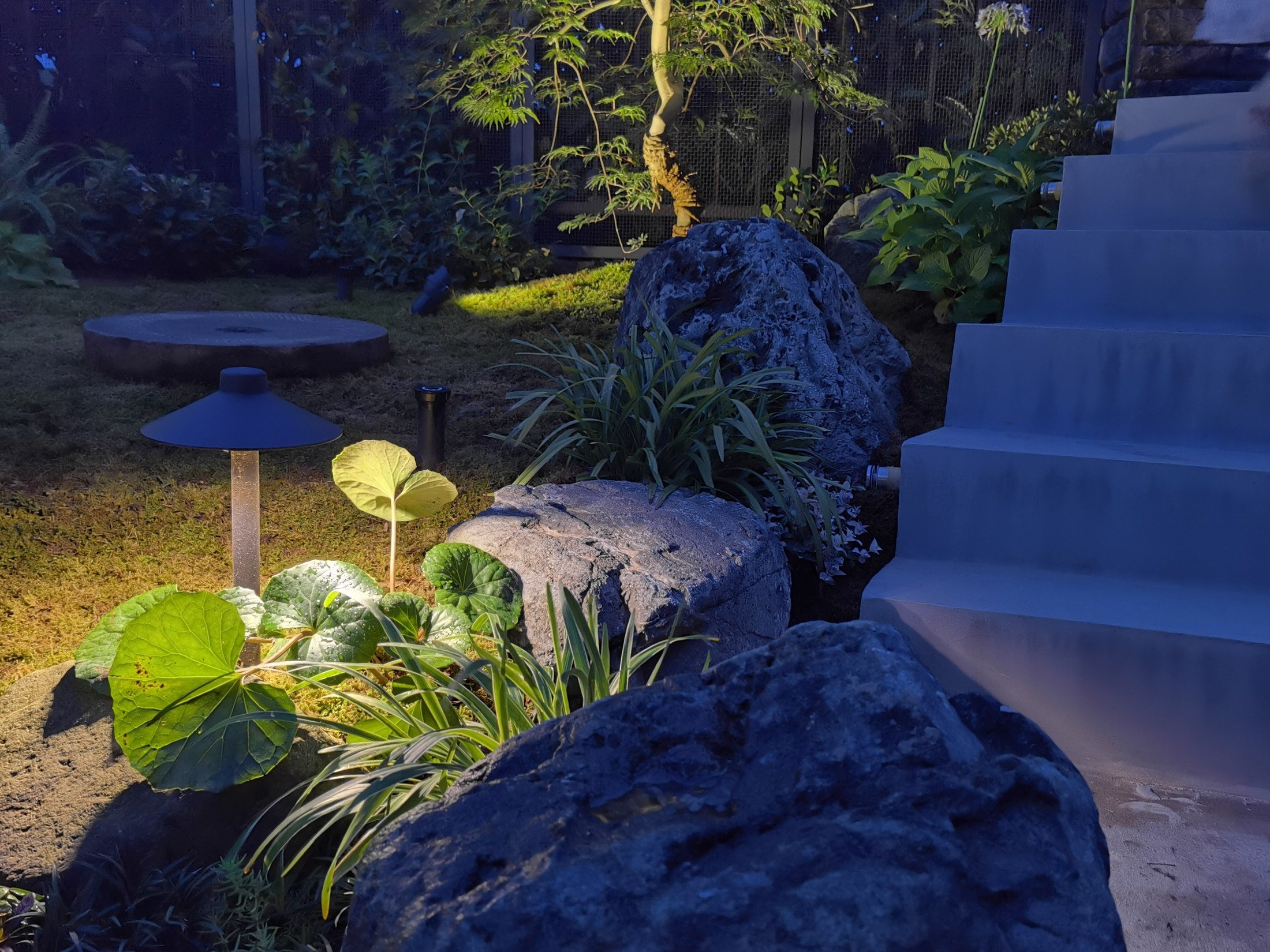 山石与植物夜景细节